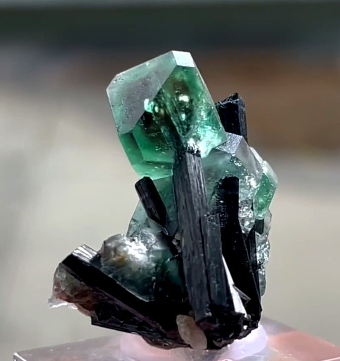 3196DV-fluorite1.jpg