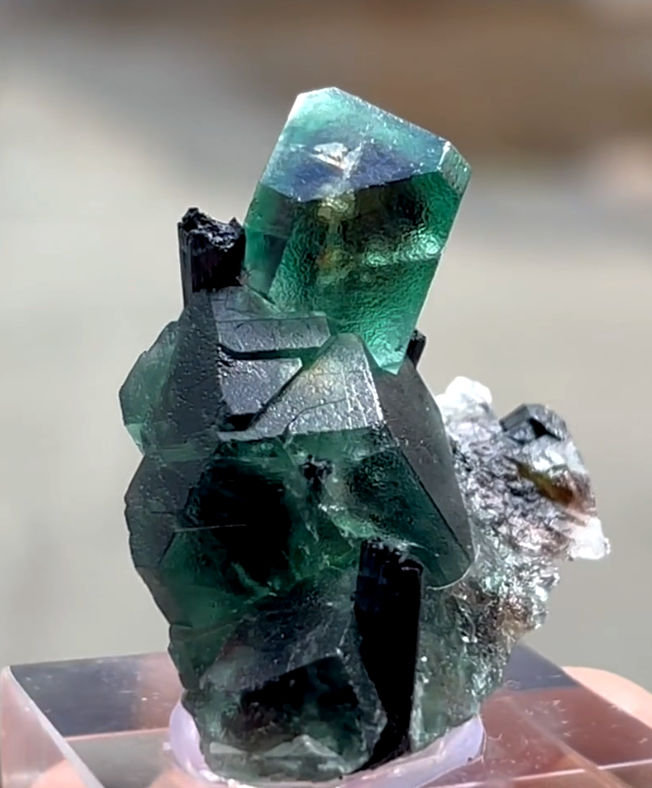 3196DV-fluorite2.jpg
