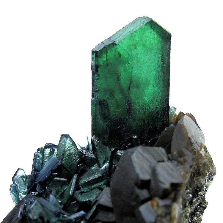 7313M-vivianite1.jpg