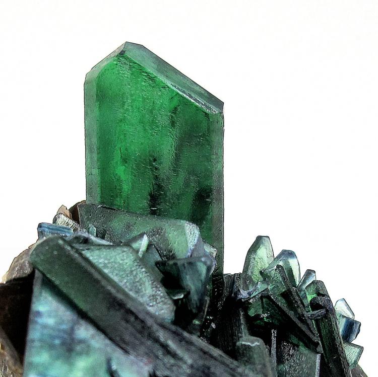 7313M-vivianite4.jpg