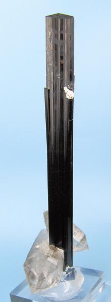 8206M-schorl1.jpg