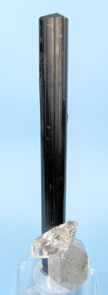 8206M-schorl2.jpg