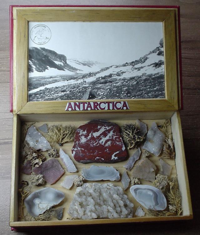 aanta.jpg