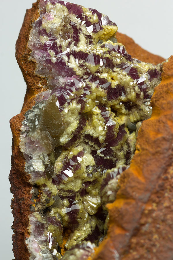 adamite01-1.jpg