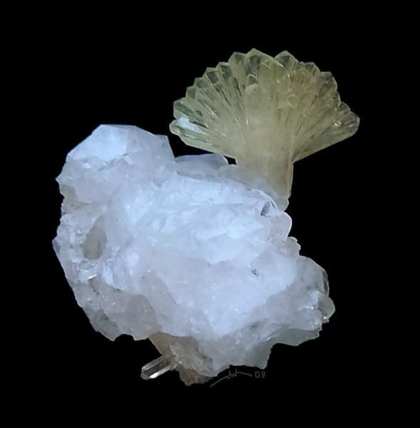 Adamite sur hmimorphite Ojuela 2,3cm.JPG