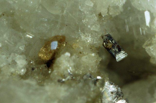 Aeschynite+Monazite - (M2830) - X lungo 0.6 mm - Preite.jpg