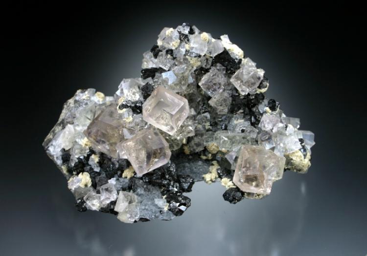 Allenheads-F267.jpg