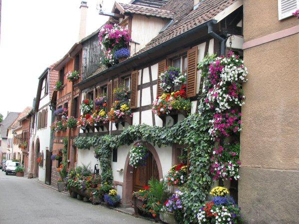 Alsace_3.jpg