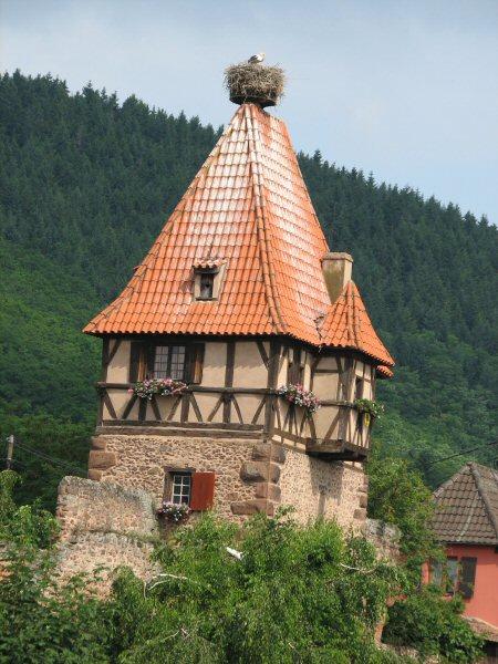 Alsace_4.jpg
