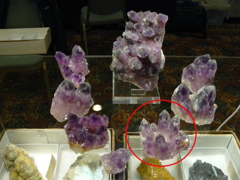 Amethyst Guerrero Original group.jpg