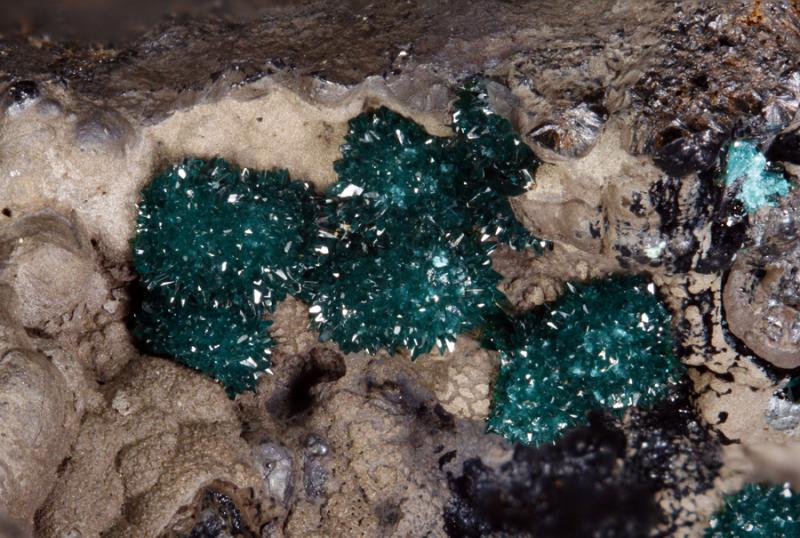 ApiladoH017894p_E5_27mm_4_18x.jpg