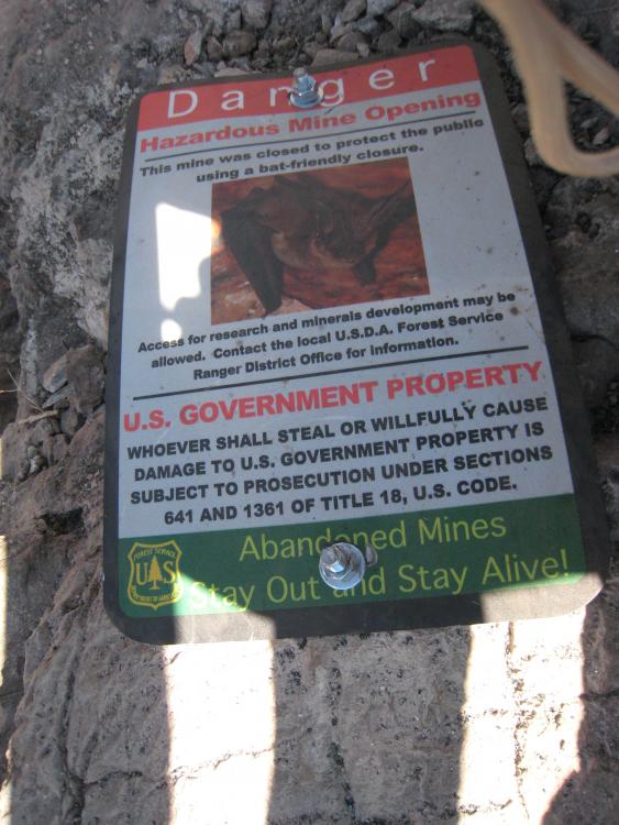 Bat-Friendly Closure Sign.JPG