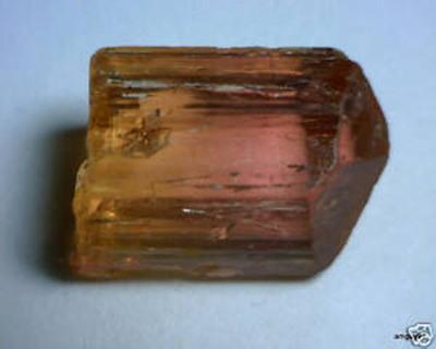 bi color 1.jpg