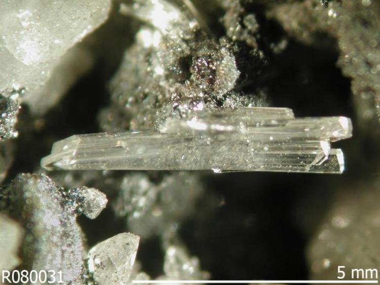 Bill Pinch Collection - Stibioclaudetite close up - Tsumeb_Namibia.jpg