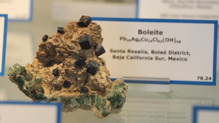 Boleite - BCS.JPG