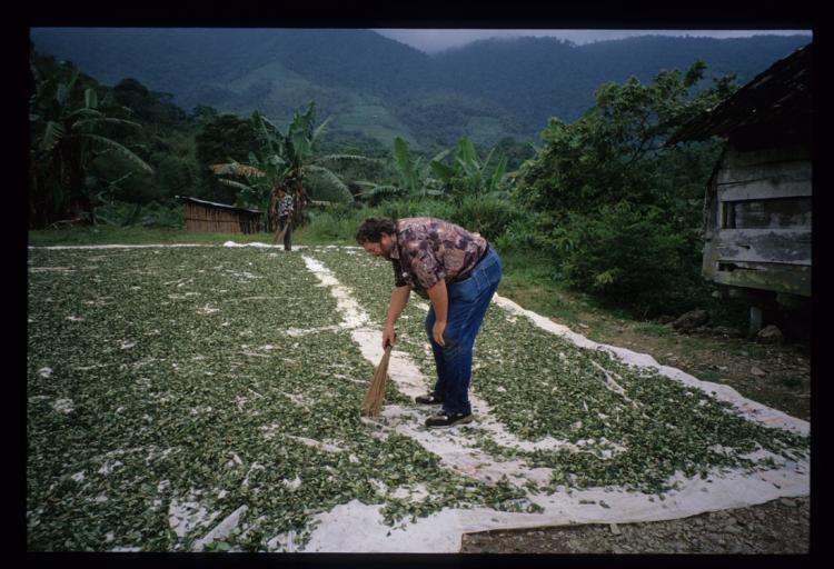 Bolivia-Chapare-salt river-me & coco leaves-1997.jpg