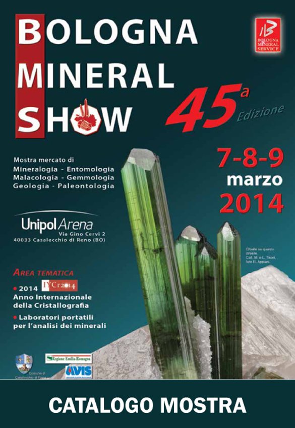 Bologna Mineral Show 2015 - 1.jpg