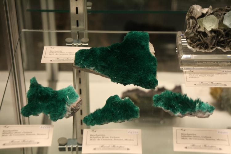 Brochantite Mineral Master piece.jpg