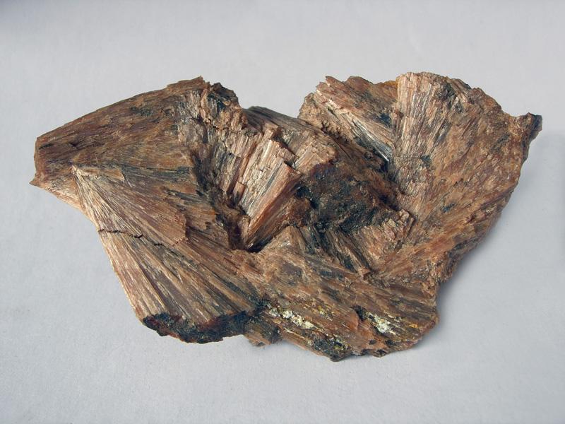 Bustamite Meldon 1.jpg