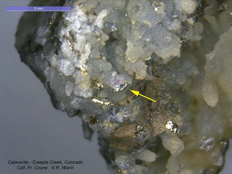 Calaverite#7-01-AB1_R.jpg