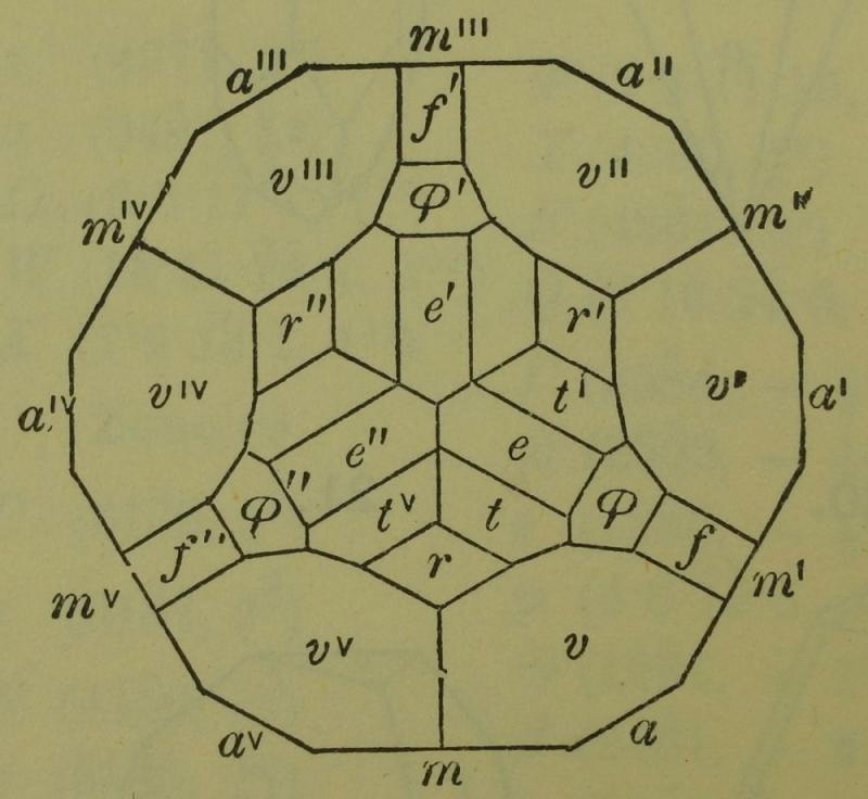 Calcite Dana.jpg