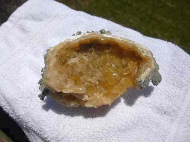 calcite on bivalve.jpg