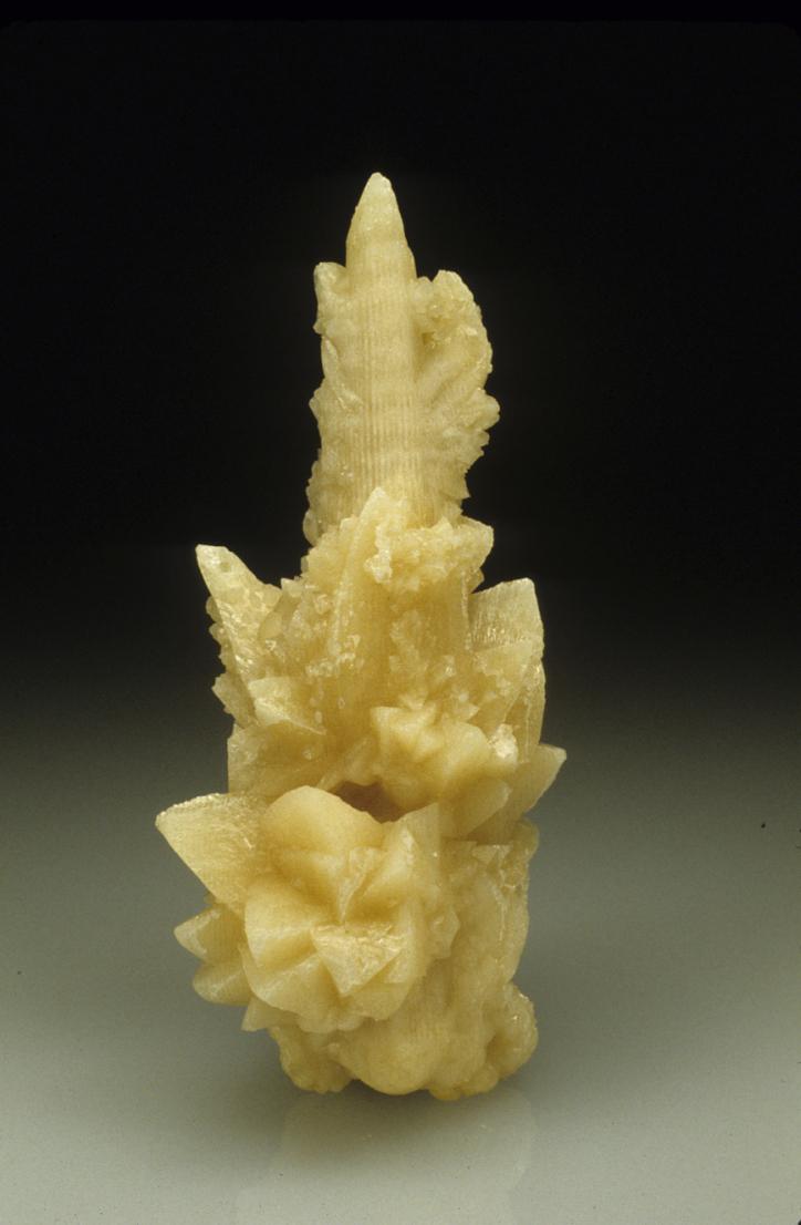 Calcite ps. coral - Key Largo_Florida_USA.jpg