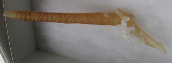 calcite tube4.jpg