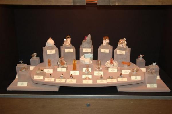 Carolyn manchester display.jpg