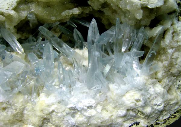 Celestine Torà detail.jpg