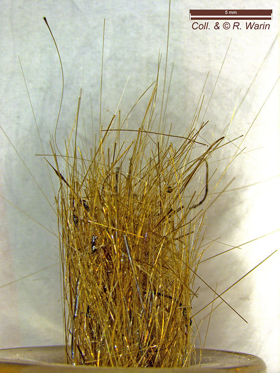 Cheveux_Pelé_01a_R.jpg