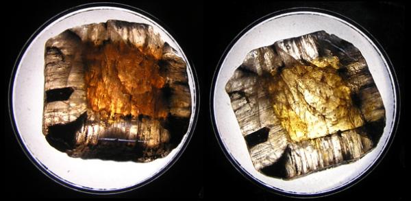 chiastolite.jpg