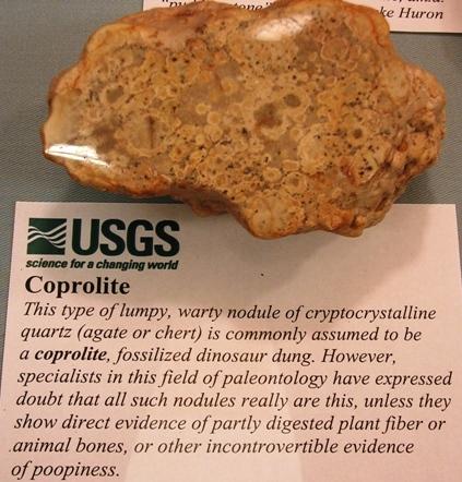 coprolite label.jpg