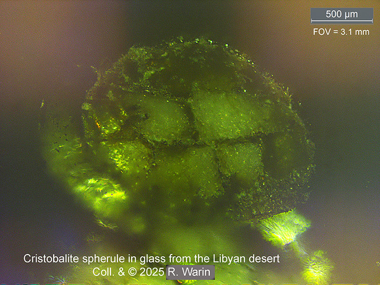 Cristobalite#1-XPOL_01-AB_R.jpg