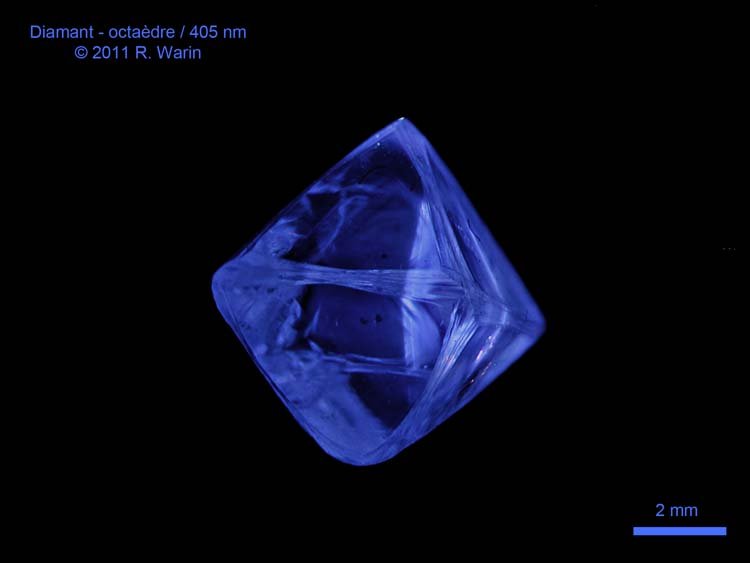 Diamant_7900_2_R.jpg