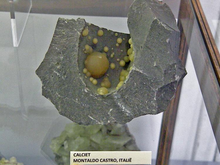 Displayed calcite Montaldo Castro Italy.jpg