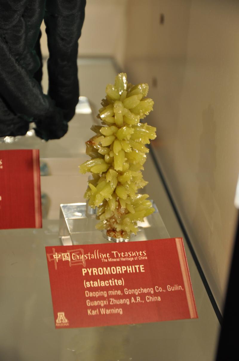 DSC_0217.jpg