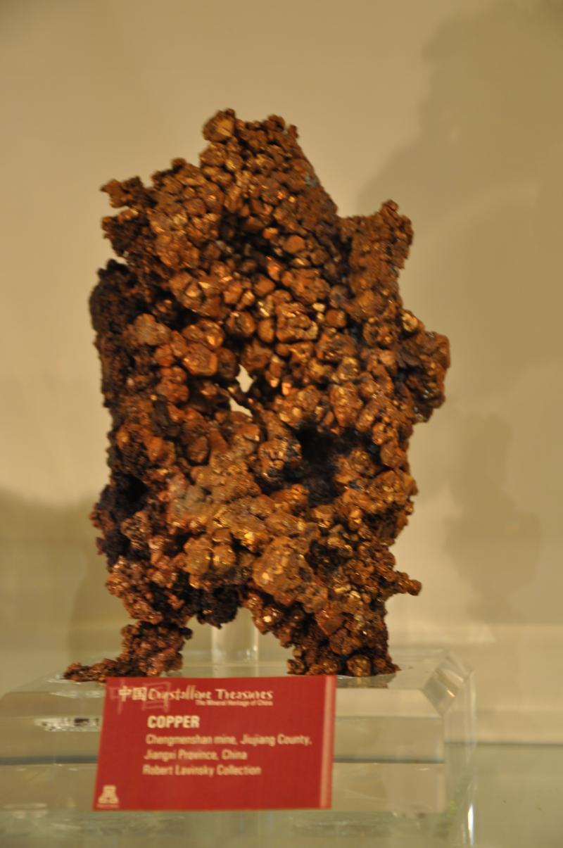 DSC_0256.jpg