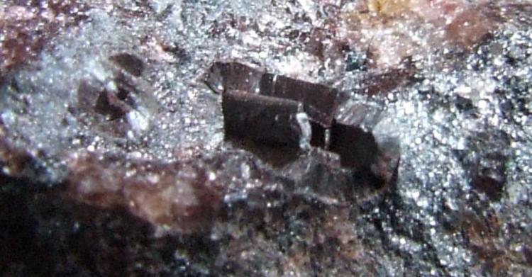 DSCF2246.JPG