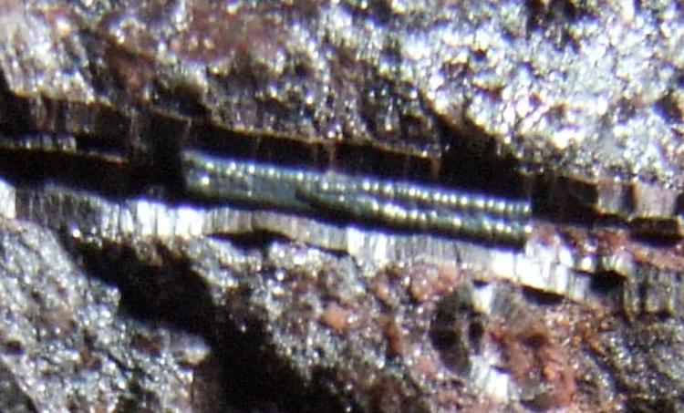 DSCF2247a.JPG