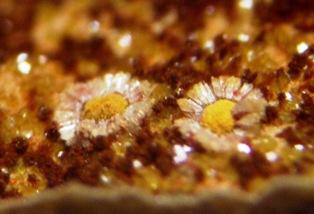 DSCF5708.JPG