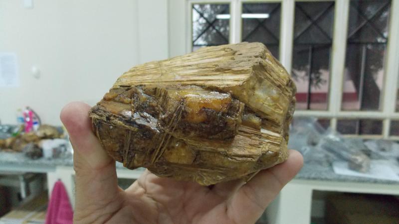 DSCN0790.JPG