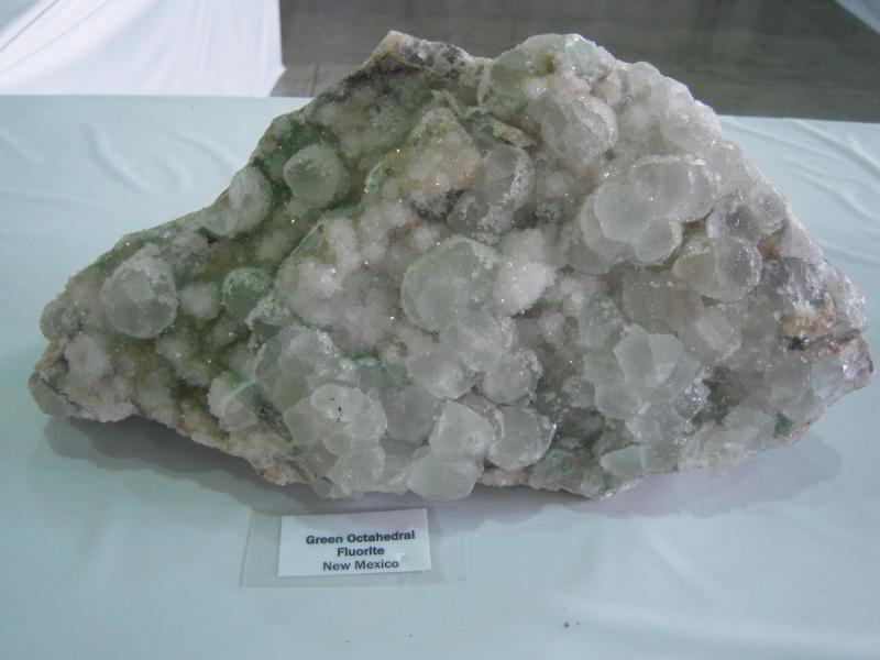 DSCN8841.JPG