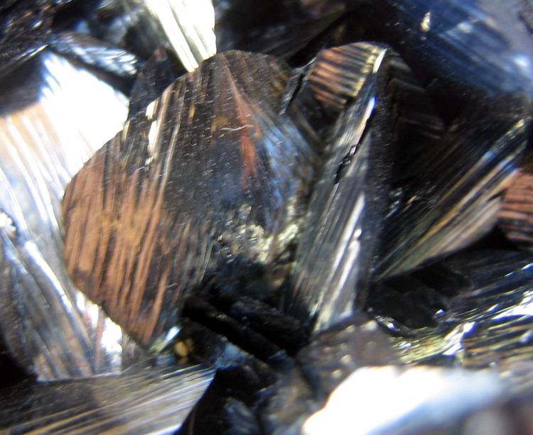 ELBA BACINO CLOSE UP2.JPG