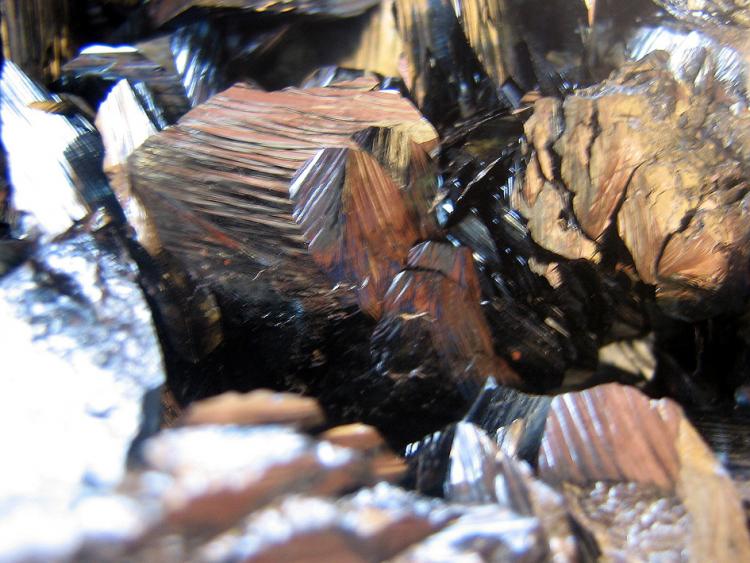 ELBA BACINO CLOSEUP1.JPG
