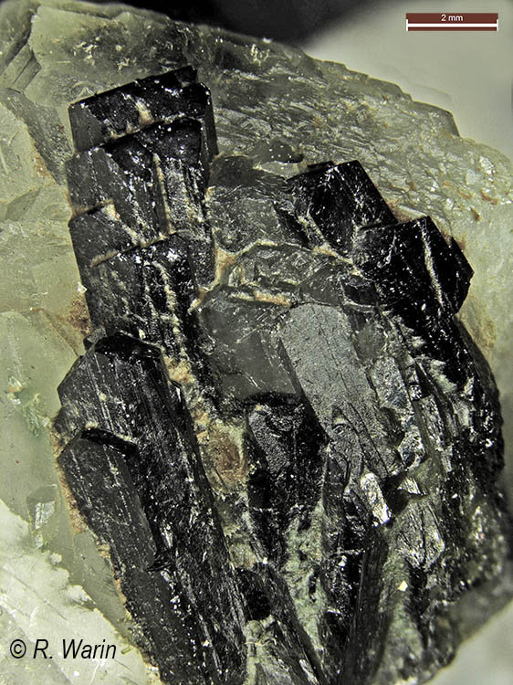 Epidote sur albite_R.jpg