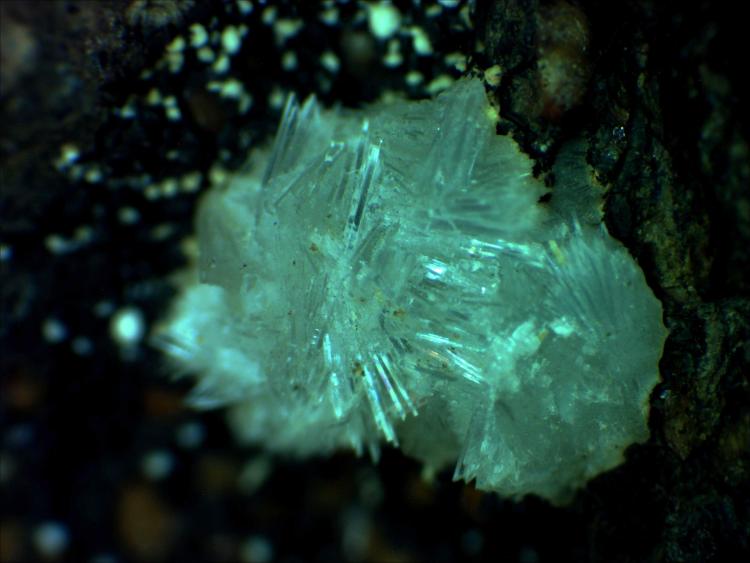 Ferrierite-Na 01d.jpg