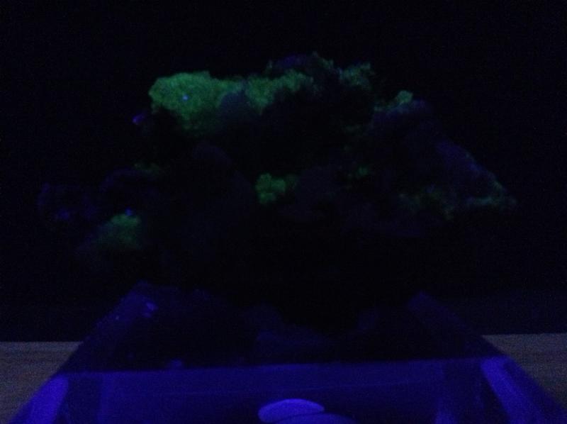 Fluorescent adamite and smithsoonite.JPG