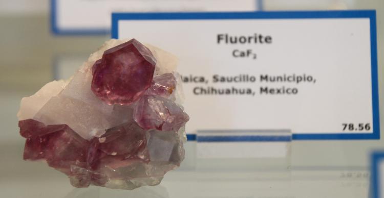 Fluorite - Naica.JPG