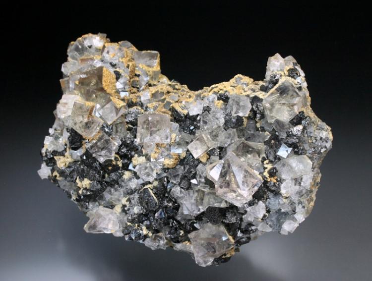 Fluorite Allenheads 1.jpg